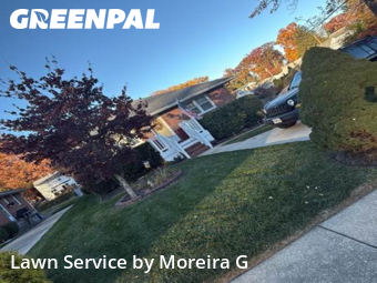 Weed Trimming in Parkville, 21234, Yard Work by Moreira G, work completed in Nov , 2025