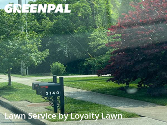 Lawn Mow nearby Lexington, KY, 