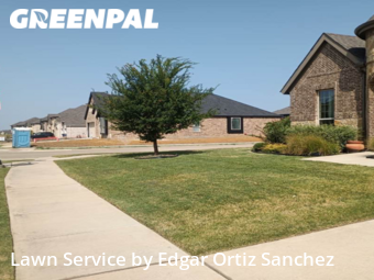 Lawn Mow nearby Little Elm, TX, 