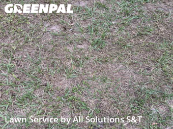 Lawn Mow nearby Poinciana, FL, 