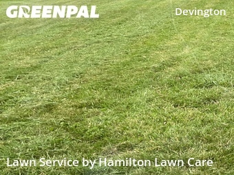 Grass Cut nearby Indianapolis, IN, 