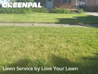 Yard Cutting nearby Cheektowaga, NY, 