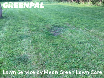 Lawn Mow nearby Raytown, MO, 
