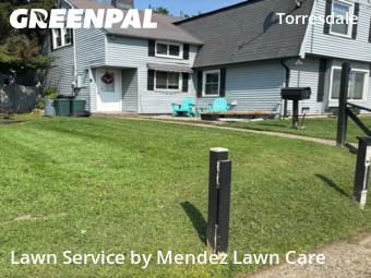 Grass Cut nearby Philadelphia, PA, 