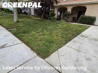Lawn Care nearby Palmdale, CA, 