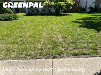 Yard Mowingin Joliet,60435,Lawn Care Service by D&V Landscaping , work completed in Jun , 2026