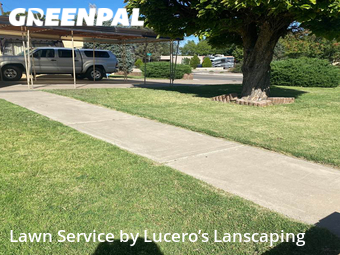 Lawn Mow nearby Albuquerque, NM, 