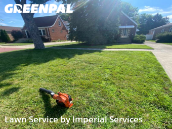 Yard Mowing nearby Evergreen Park, IL, 