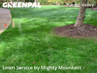 Grass Cut nearby Knoxville, TN, 