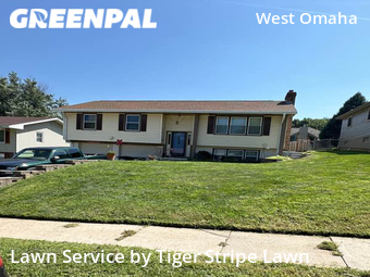 Yard Cutting nearby Omaha, NE, 