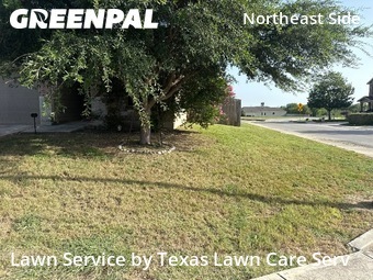 Lawn Cuttingin Converse,78109,Lawn Mow by Texas Lawn Care Serv, work completed in Jun , 2026