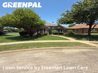 Lawn Carein Garland,75040,Lawn Mowing by Freeman Lawn Care, work completed in Jul , 2026