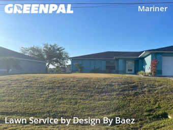 Grass Cut nearby Cape Coral, FL, 