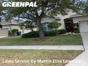 Lawn Care nearby Wesley Chapel, FL, 