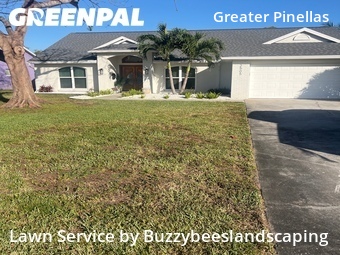 Grass Cut nearby St. Petersburg, FL, 
