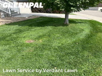 Yard Mowing nearby Loveland, CO, 