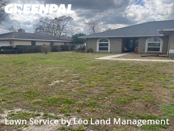 Lawn Mow nearby Lakeland, FL, 