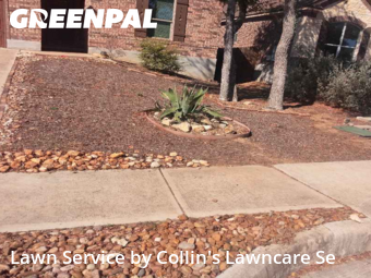 Work completed by grass-trimming-service-in-San Marcos-CA