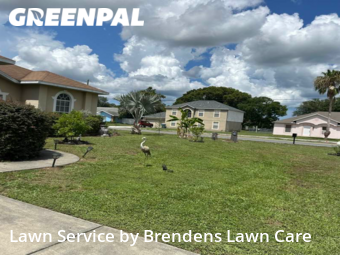 Lawn Cut nearby Spring Hill, FL, 