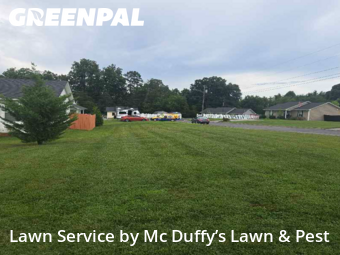 Grass Cut nearby Baneberry, TN, 