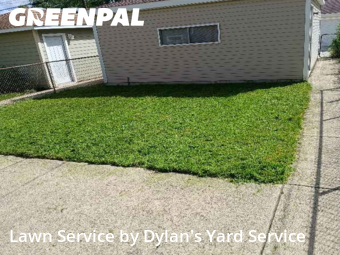 Lawn Work in Forest Park, 60130, Lawn Upkeep by Dylan's Yard Service , work completed in Nov , 2025