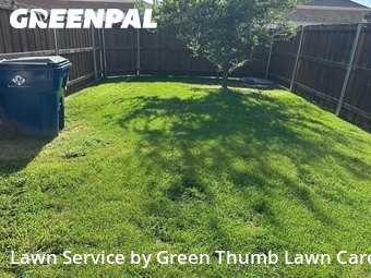 Lawn Mow nearby Mc Kinney, TX, 