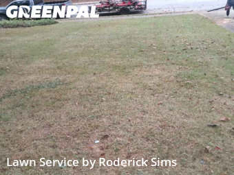 Lawn Cut nearby Stone Mountain, GA, 