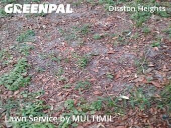 Lawn Service nearby St. Petersburg, FL, 