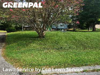 Lawn Cutting nearby Knoxville, NC, 