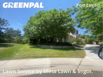 Lawn Cutting nearby Denver, CO, 