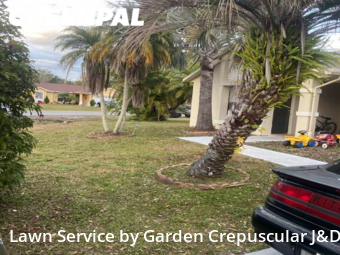 Lawn Care Service nearby Kissimmee , FL, 