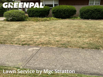 Lawn Mow nearby Brook Park, OH, 