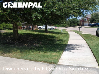 Lawn Cut nearby Sachse, TX, 