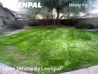 Lawn Cutting nearby Gilbert, AZ, 