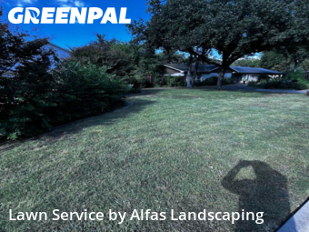 Yard Cutting in Farmers Branch, 75234, Property Maintenance by Alfas Landscaping, work completed in Dec , 2025