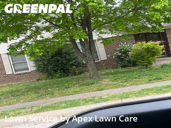 Lawn Mow nearby Jeffersonville, IN, 