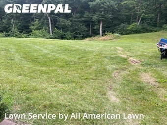 Lawn mowed in Union, 63084