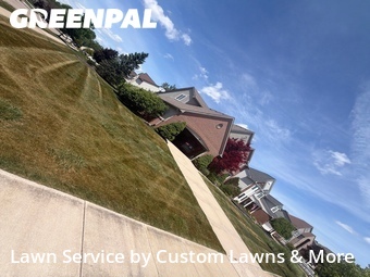 Lawn Mow nearby South Lyon, MI, 