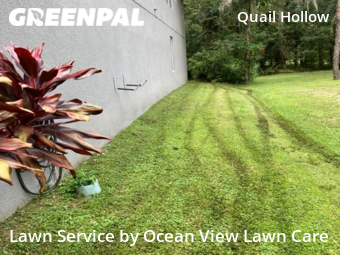 Yard Cutting nearby De Land, FL, 