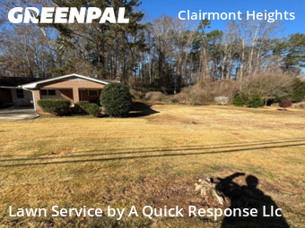 Turf Services in Decatur, 30033, Yard Care Services by A Quick Response Llc, work completed in Dec , 2025