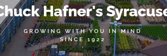 Best Nursery in Syracuse New York 3