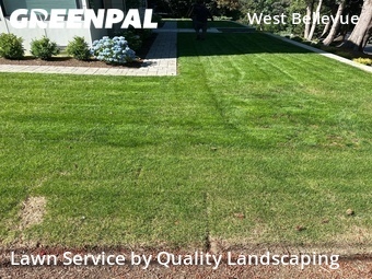Lawn Care Service nearby Bellevue, WA, 