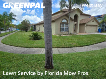Grass Cut nearby Tampa, FL, 