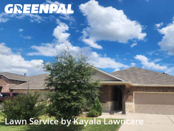 Grass Cut nearby Manor, TX, 