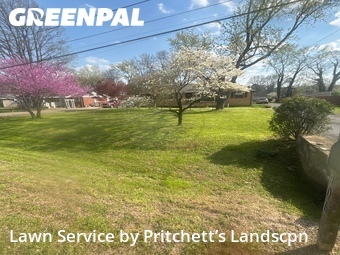Lawn Mow nearby Smyrna, TN, 