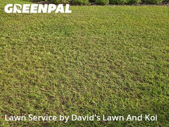 Lawn Cutting nearby Marion County, FL, 