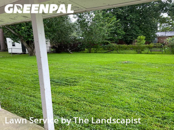 Yard Cutting nearby Goose Creek, SC, 