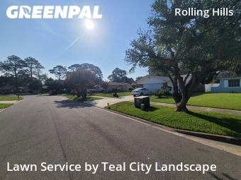Lawn Cut nearby Jacksonville, FL, 