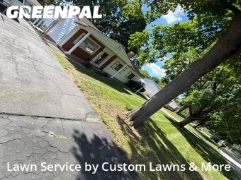 Grass Cut nearby Romulus, MI, 