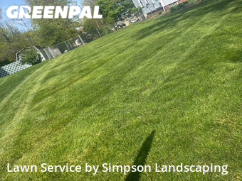 Grass Cutting nearby Youngstown, OH, 